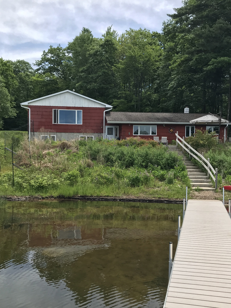 Photo of Dan's shoreline on Squash Lake